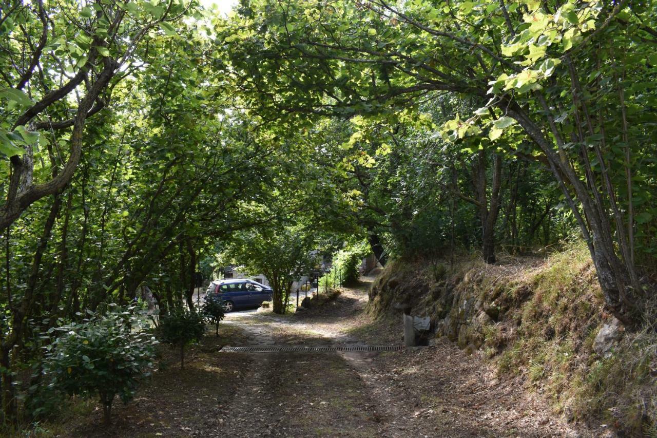 Agriturismo Fontanapietra