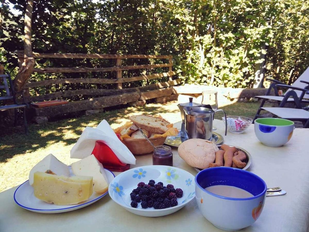 Agriturismo Fontanapietra Farm stay Tortorici