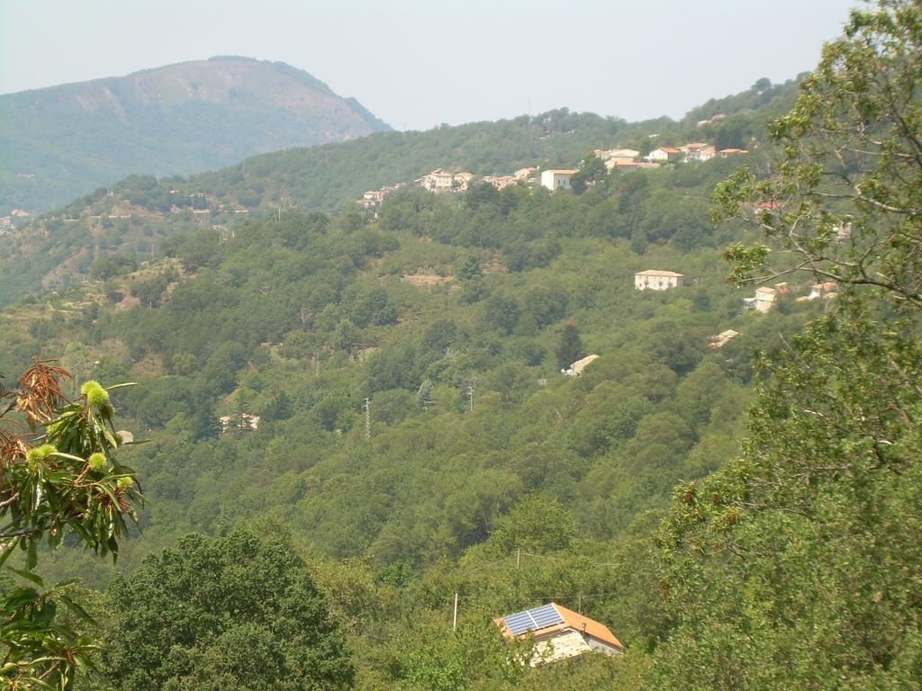 Farm stay Agriturismo Fontanapietra