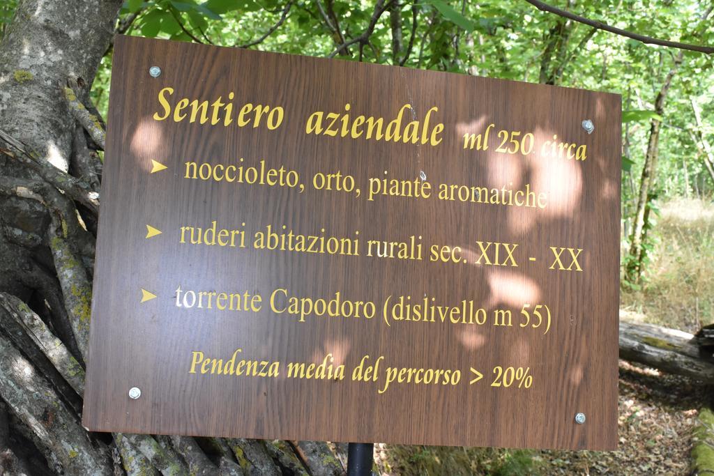 Séjour à la ferme Fontanapietra